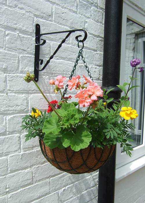 A beautiful flower basket hanging from the wall by a black bracket.