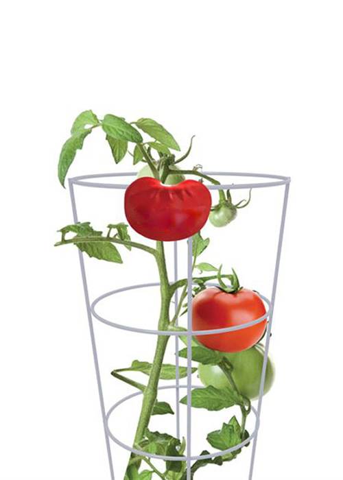 Click to view more about tomato cage.