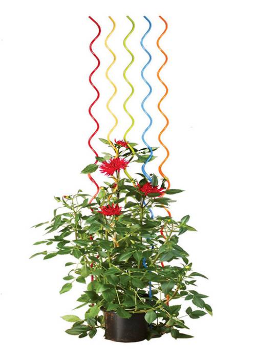 Click to view more about tomato spiral wire